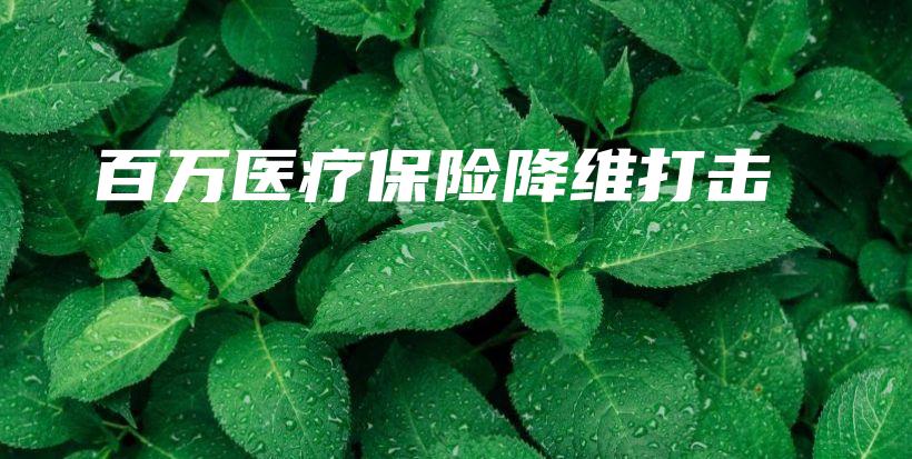 百万医疗保险降维打击-PLB