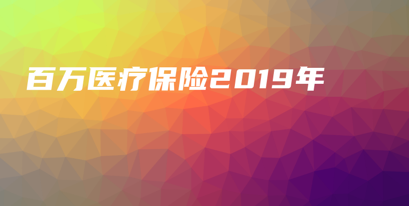 百万医疗保险2019年-PLB