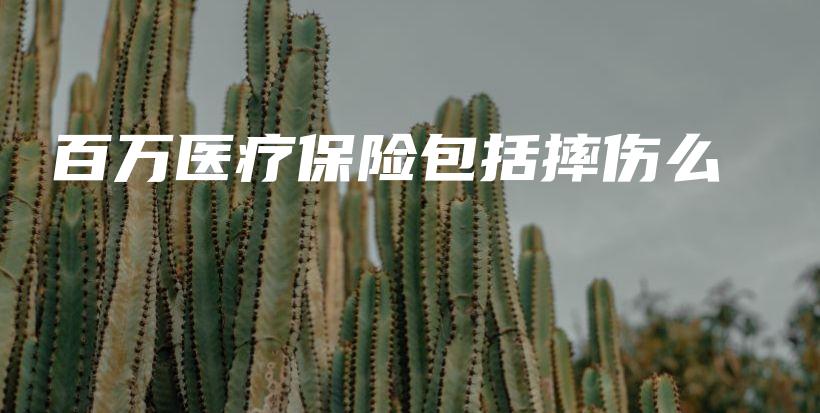 百万医疗保险包括摔伤么-PLB