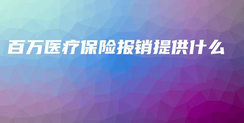 百万医疗保险报销提供什么-PLB