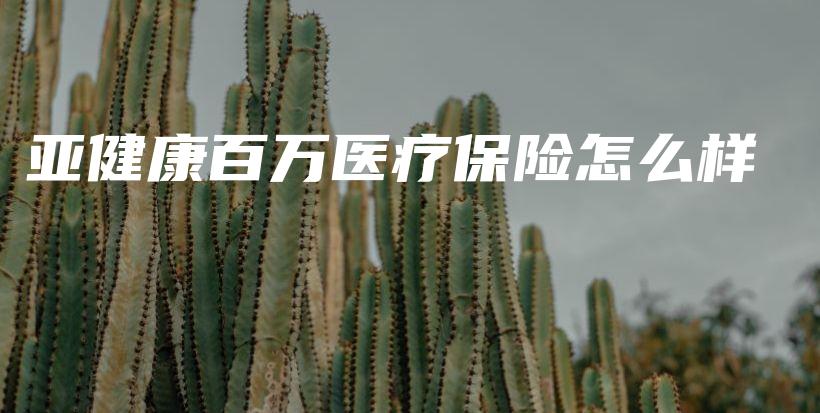 亚健康百万医疗保险怎么样-PLB