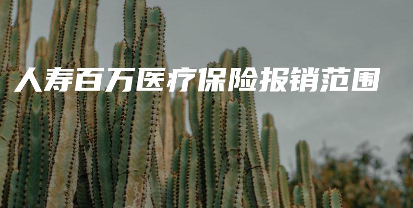 人寿百万医疗保险报销范围-PLB