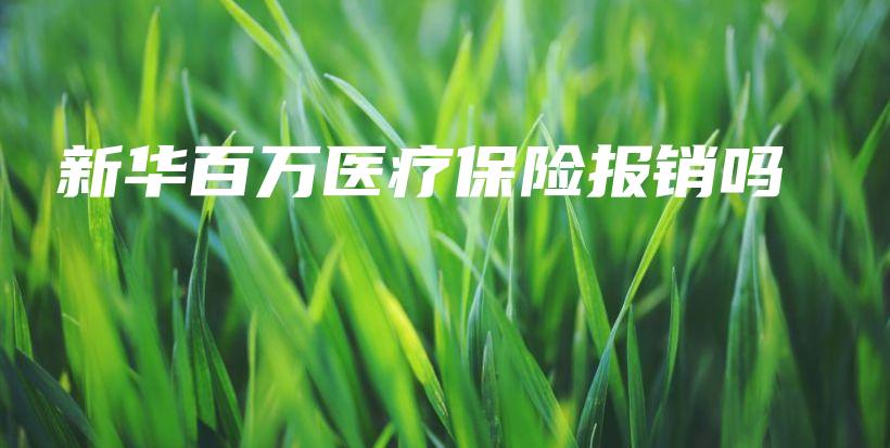 新华百万医疗保险报销吗-PLB