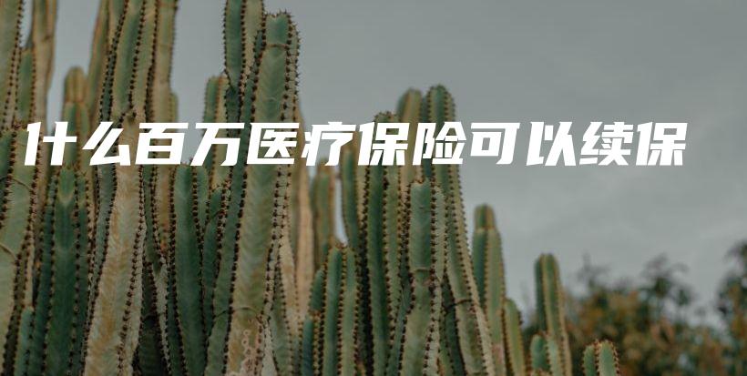 什么百万医疗保险可以续保-PLB