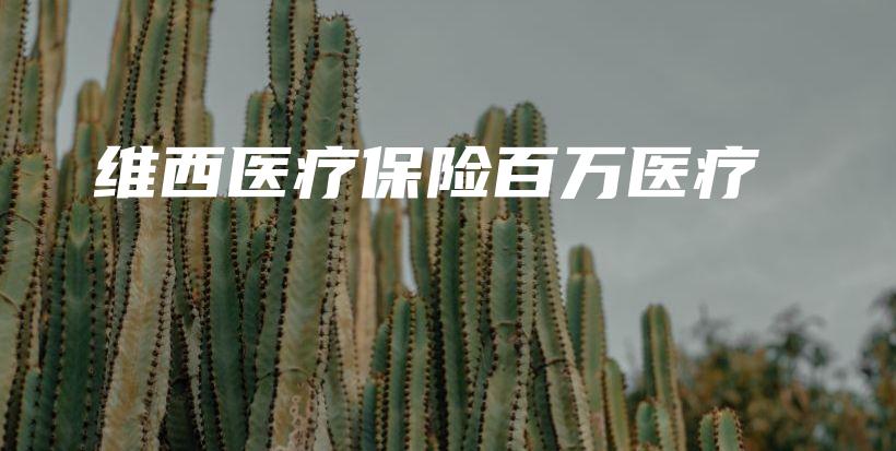 维西医疗保险百万医疗-PLB