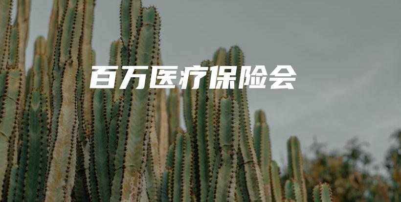 百万医疗保险会-PLB