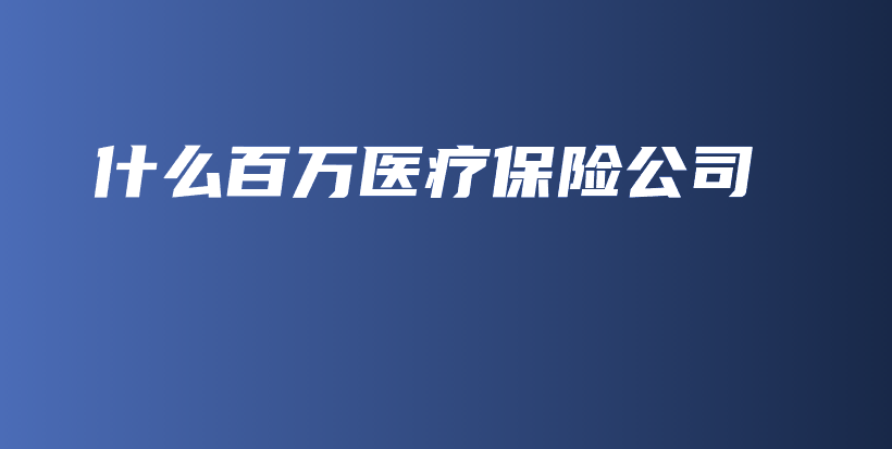 什么百万医疗保险公司-PLB