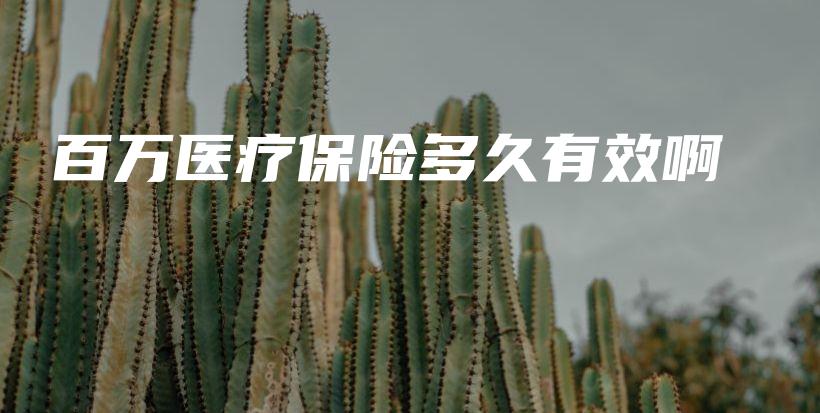 百万医疗保险多久有效啊-PLB