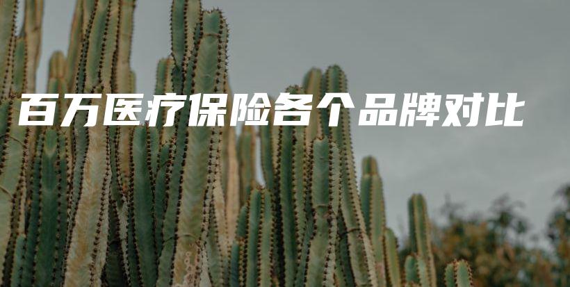 百万医疗保险各个品牌对比-PLB