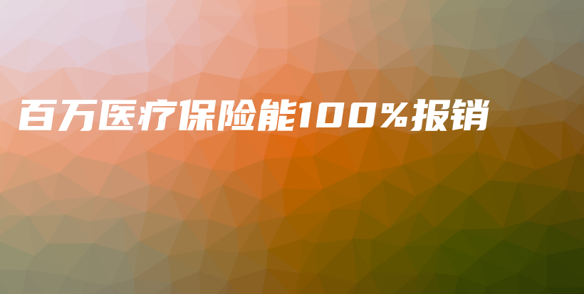 百万医疗保险能100%报销-PLB