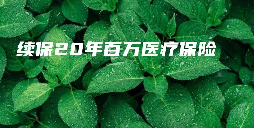 续保20年百万医疗保险-PLB