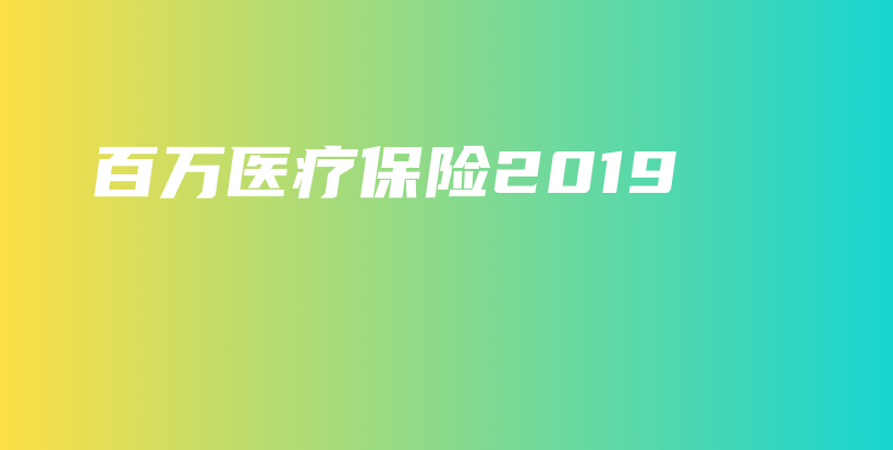 百万医疗保险2019-PLB