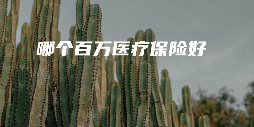 哪个百万医疗保险好-PLB