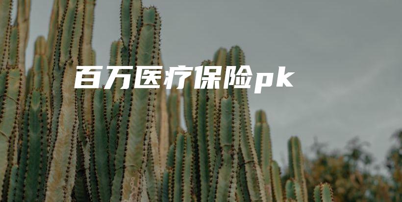 百万医疗保险pk-PLB