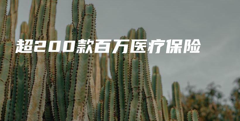 超200款百万医疗保险-PLB