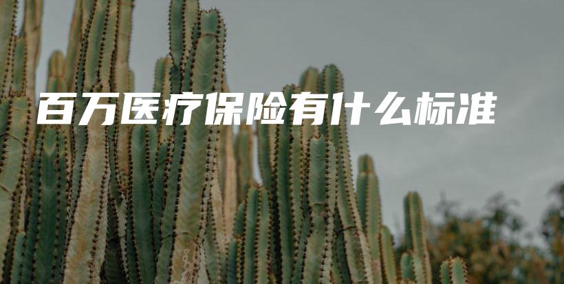 百万医疗保险有什么标准-PLB