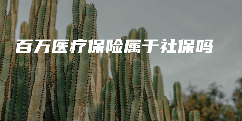 百万医疗保险属于社保吗-PLB