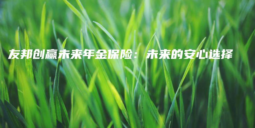 友邦创赢未来年金保险：未来的安心选择-PLB