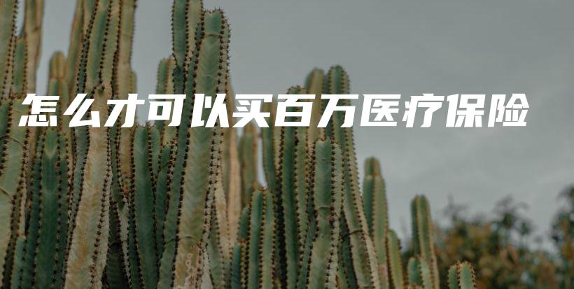 怎么才可以买百万医疗保险-PLB