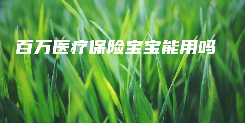 百万医疗保险宝宝能用吗-PLB