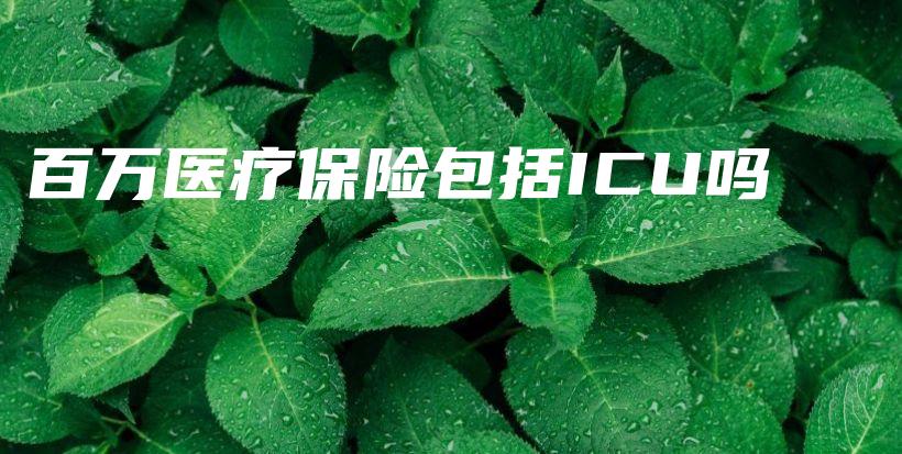 百万医疗保险包括ICU吗-PLB