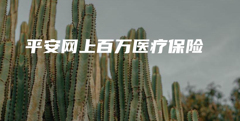 平安网上百万医疗保险-PLB