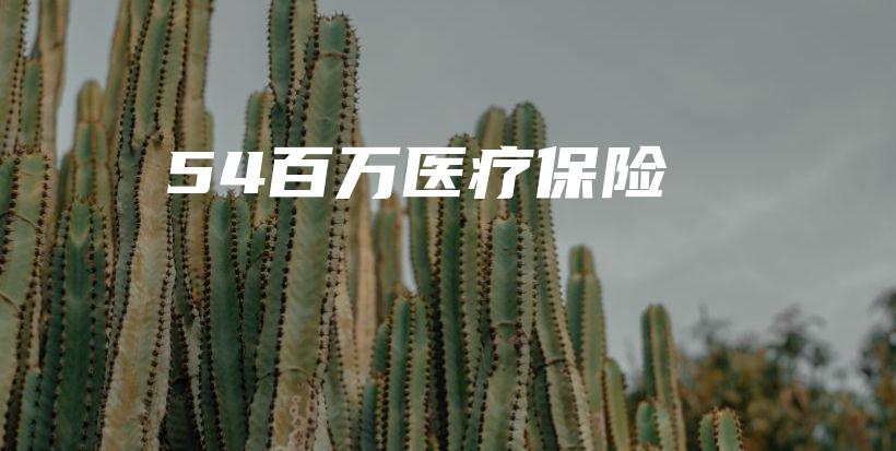 54百万医疗保险-PLB