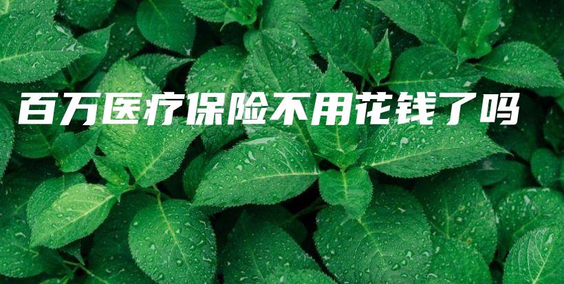 百万医疗保险不用花钱了吗-PLB