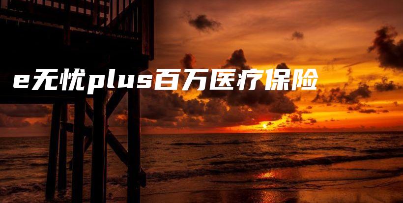 e无忧plus百万医疗保险-PLB