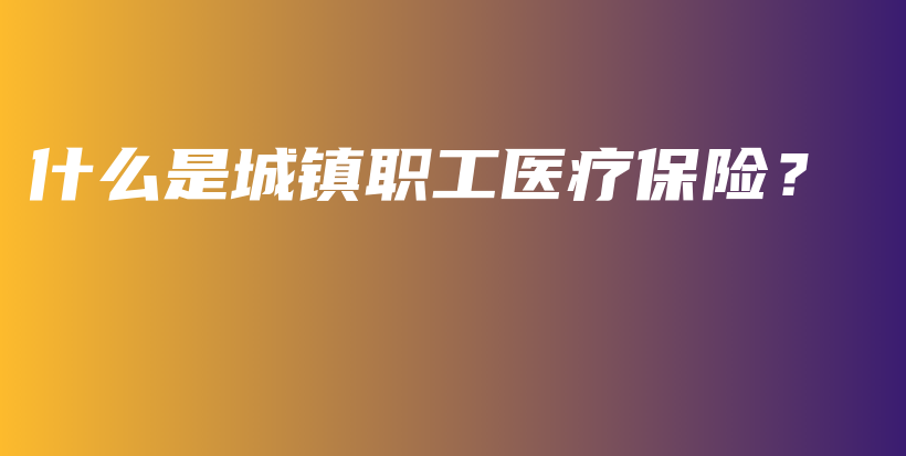 什么是城镇职工医疗保险？-PLB