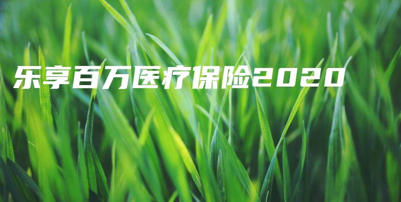 乐享百万医疗保险2020-PLB