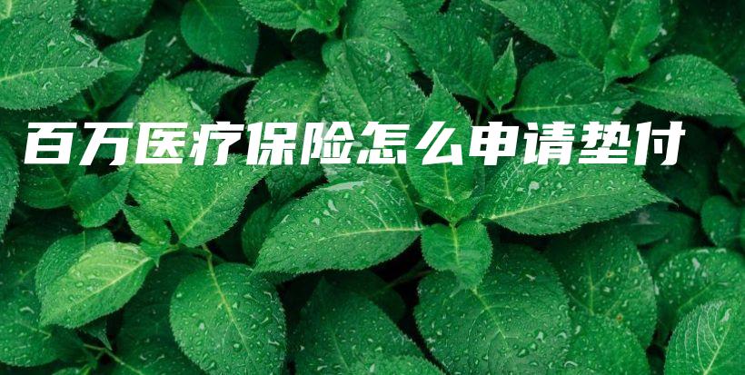 百万医疗保险怎么申请垫付-PLB