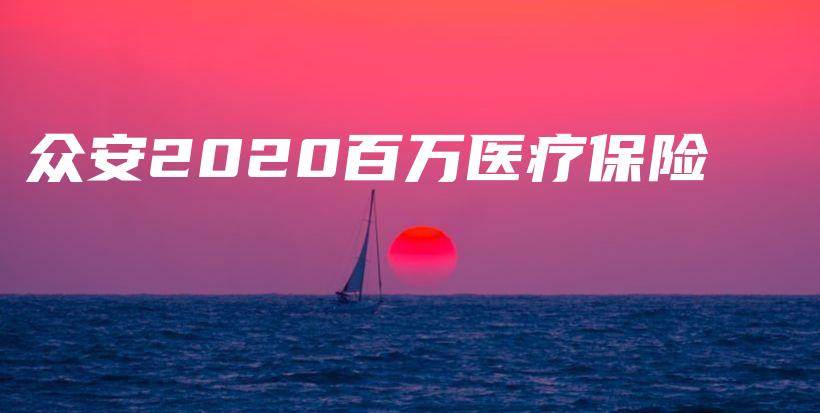 众安2020百万医疗保险-PLB