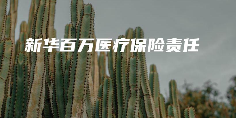 新华百万医疗保险责任-PLB