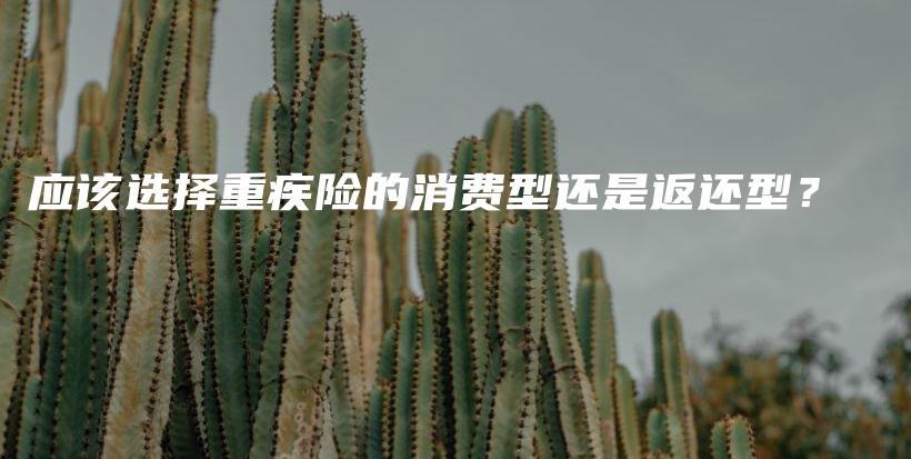 应该选择重疾险的消费型还是返还型？-PLB