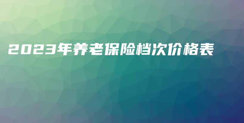 2023年养老保险档次价格表-PLB