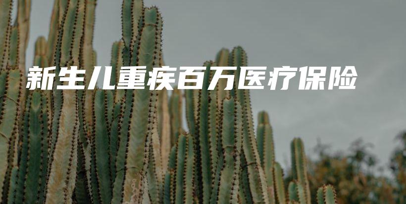 新生儿重疾百万医疗保险-PLB