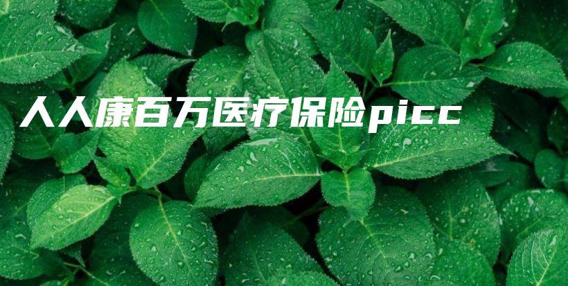 人人康百万医疗保险picc-PLB