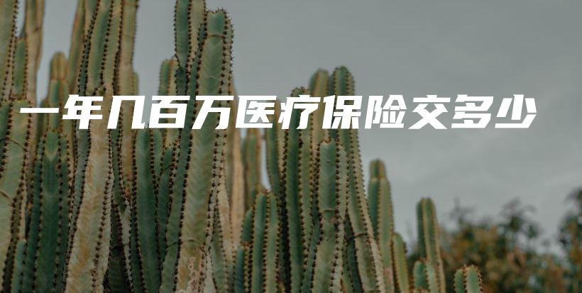 一年几百万医疗保险交多少-PLB