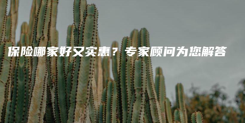 保险哪家好又实惠？专家顾问为您解答-PLB