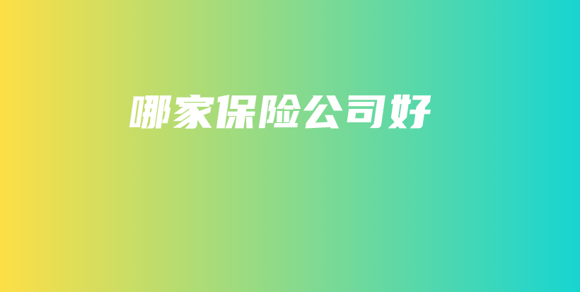 哪家保险公司好-PLB