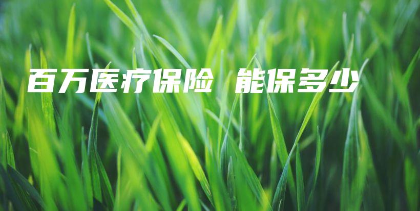 百万医疗保险 能保多少-PLB