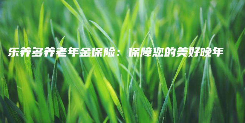 乐养多养老年金保险：保障您的美好晚年-PLB