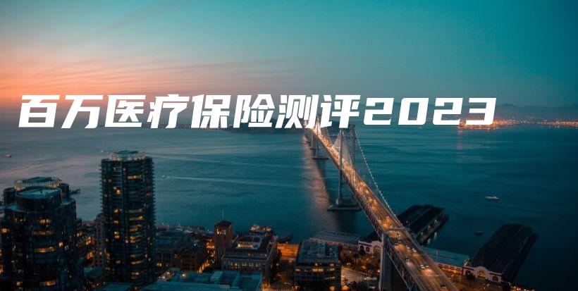 百万医疗保险测评2023-PLB