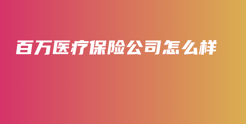 百万医疗保险公司怎么样-PLB