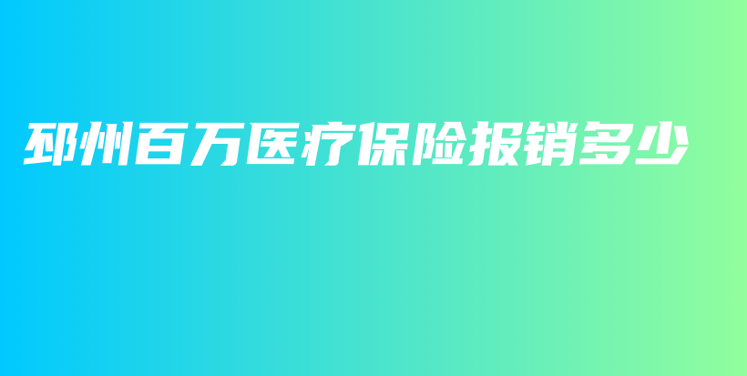 邳州百万医疗保险报销多少-PLB