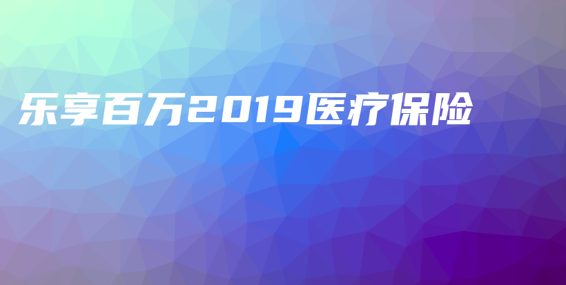 乐享百万2019医疗保险-PLB