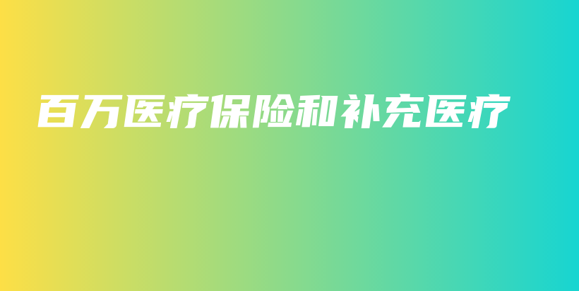 百万医疗保险和补充医疗-PLB