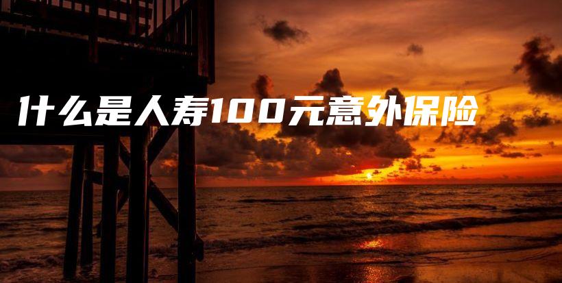 什么是人寿100元意外保险-PLB