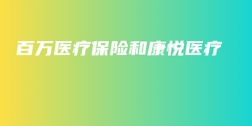 百万医疗保险和康悦医疗-PLB